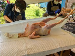 プランの魅力 羽をむしるとお馴染みの姿に・・・ の画像
