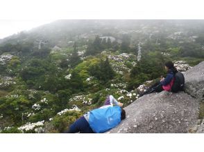 プランの魅力 シャクナゲがたまらんな☆ の画像