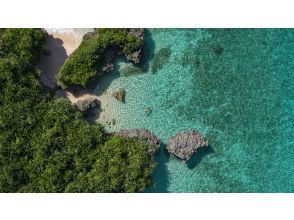 プランの魅力 空からの絶景、映え確定。 の画像