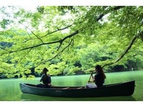 プランの魅力  の画像