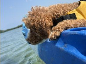 プランの魅力 愛犬と一緒に自然を満喫♪ の画像