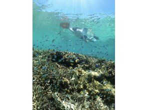 プランの魅力  の画像