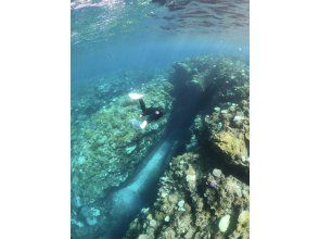 プランの魅力  の画像