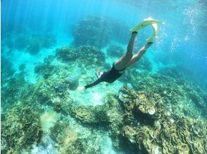 プランの魅力  の画像