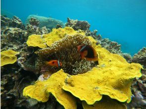 プランの魅力  の画像