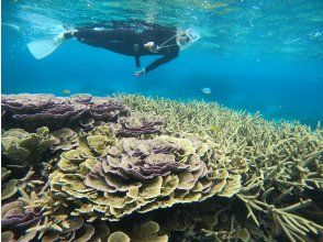 プランの魅力  の画像