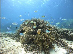 プランの魅力  の画像