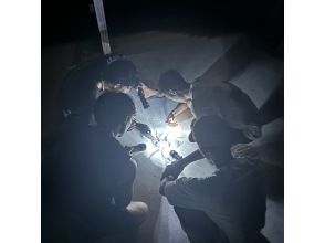 プランの魅力 《適合全家參與的夜間狩獵體驗》 の画像