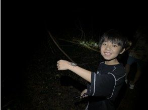 プランの魅力 セミ！！ の画像