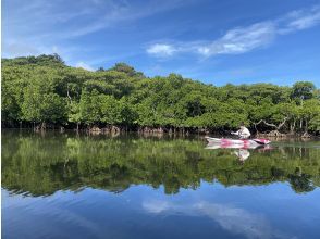 プランの魅力 マングローブカヤック の画像