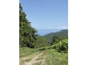 プランの魅力 Can you see the sea? の画像