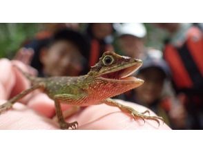 プランの魅力 生き物好きにおすすめ! の画像