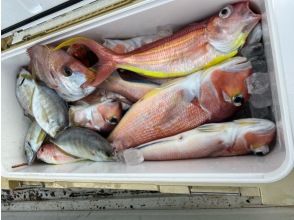 プランの魅力 釣れた魚はお持ち帰り の画像