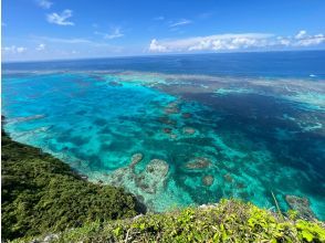 プランの魅力 Triangulation point の画像