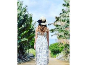 プランの魅力 Traveler's Tree の画像