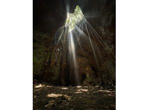 プランの魅力 Title Secret Point の画像