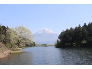 プランの魅力 Take a commemorative photo at the mysterious Lake Tanuki with Mt. Fuji in the background の画像