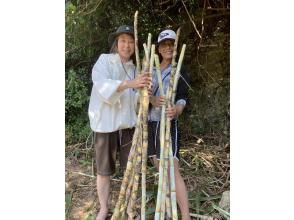 プランの魅力 Sugarcane harvesting experience の画像