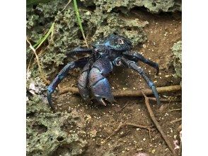 プランの魅力 の画像