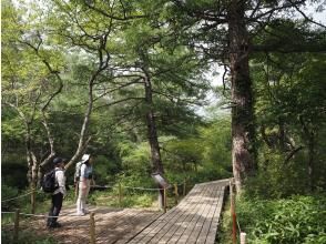 プランの魅力 初心者も安心な手軽ハイキング♪ の画像