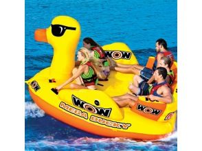 プランの魅力 【南紀白浜・田辺・芳養】超巨大アヒル☆メガダッキー☆ の画像