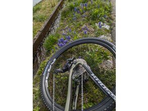 プランの魅力 四季を楽しむ の画像