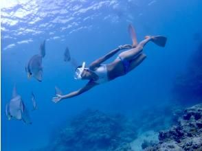 プランの魅力 Look great with skin diving! の画像
