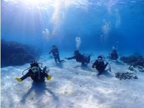 プランの魅力 You can freely plan your trip to the beach you want to go to! の画像