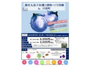 プランの魅力  の画像