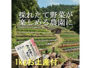 プランの魅力 嬉しい!美味しいお米のお土産付き の画像