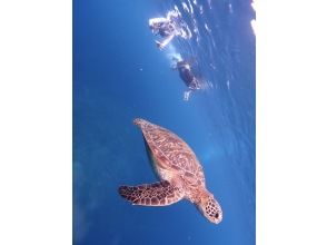 プランの魅力 行きたい海へ、自由にプランニングOK！ の画像