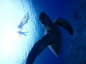 プランの魅力 最高の思い出を写真に残そう！ の画像