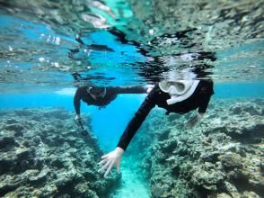 プランの魅力 写真データ無料プレゼント の画像