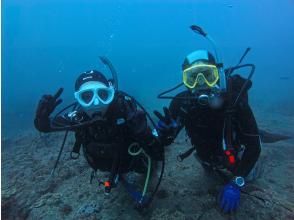 プランの魅力 少人数制で落ち着いたダイビング の画像