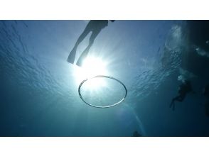 プランの魅力 冬の透明度の高い海でファンダイビング の画像