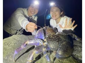 プランの魅力 您甚至可能会发现椰子蟹！ の画像