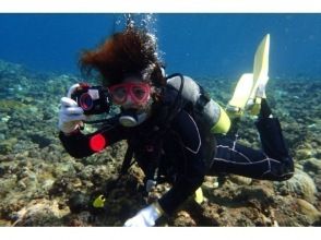 プランの魅力 デジカメレンタル の画像