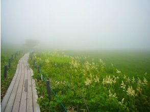 プランの魅力 幻想的な世界 の画像