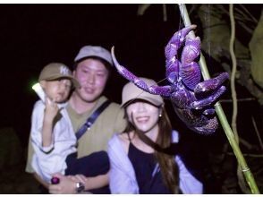 プランの魅力 ドキドキのナイトジャングル探検! の画像