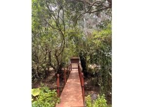 プランの魅力 当店へようこそ の画像