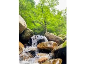 プランの魅力 思わずカメラを構えたくなる絶景 の画像