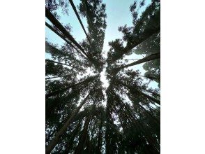 プランの魅力 Relax in the forest with a forest outdoor bath の画像