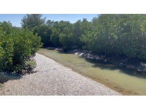 プランの魅力 島尻マングローブ公園 の画像