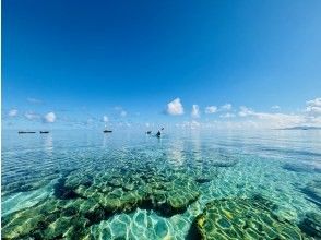 プランの魅力 凪の時は海中世界も丸見え♪ の画像