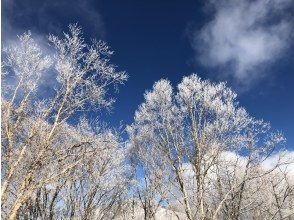 プランの魅力 氷がキラキラ の画像
