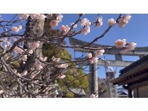 プランの魅力 日本文化体験➕太宰府天満宮観光付きプラン⛩️ の画像