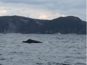 プランの魅力 鯨魚！ !! の画像