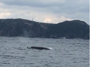 プランの魅力 噴出 の画像