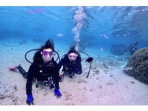 プランの魅力 最大水深５mの海中世界！ の画像