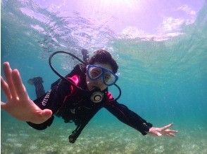 プランの魅力 2DIVEでより楽しい！ の画像